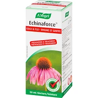 Echinaforce Immune Support for cold and flu