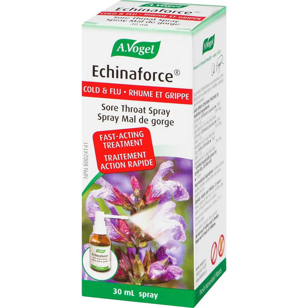 Echinaforce Sore Throat Spray Fast Acting Remedy