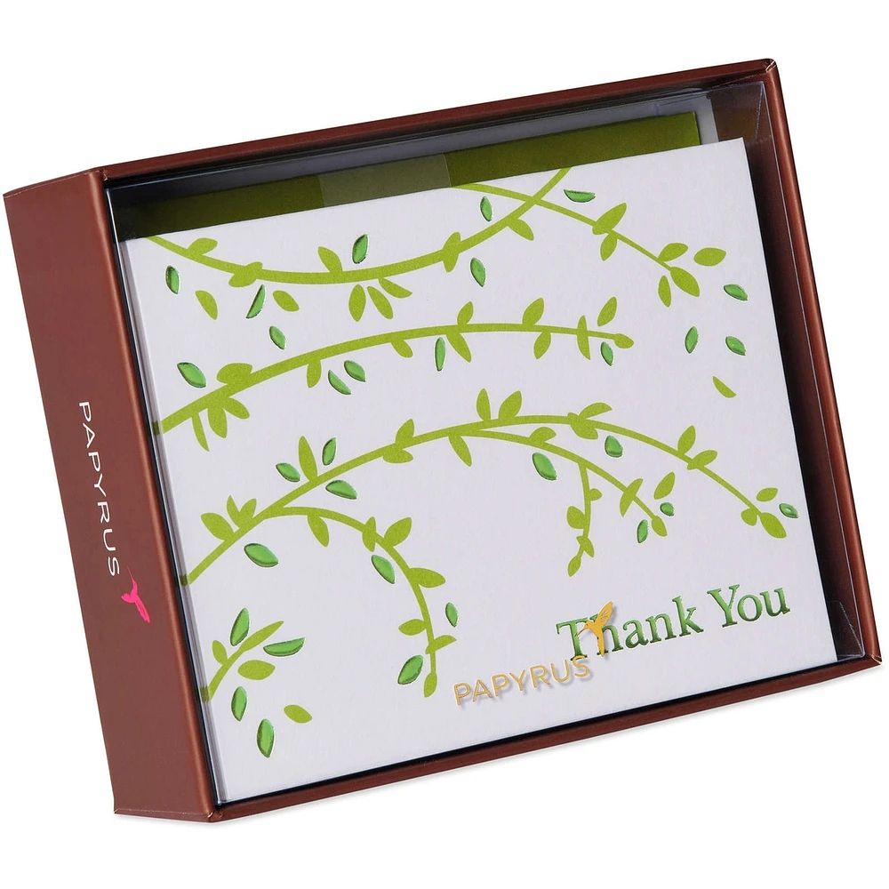 Papyrus Thank You Cards with Envelopes, Branches (20-Count)