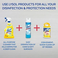 Nettoyant tout usage, Vaporisateur, citron, nettoyage et rafraîchissement puissants