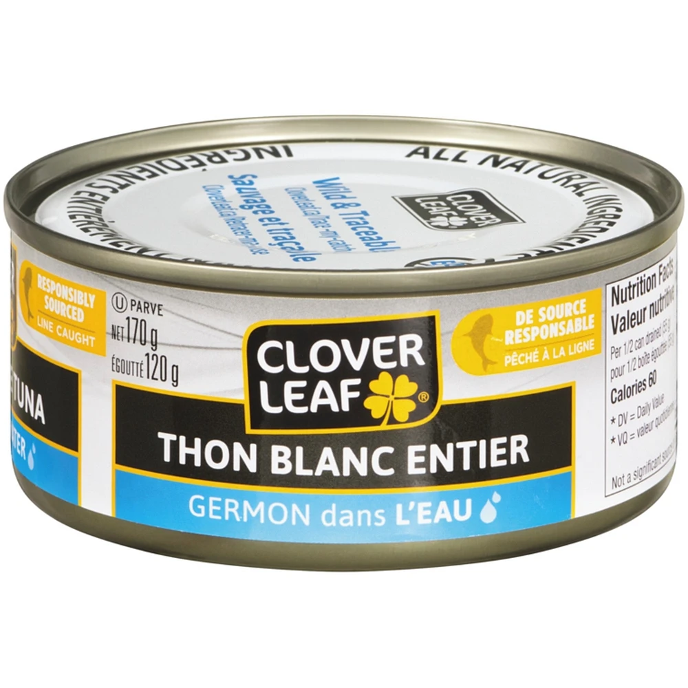 Solid White Tuna Albacore in Water