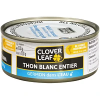 Solid White Tuna Albacore in Water