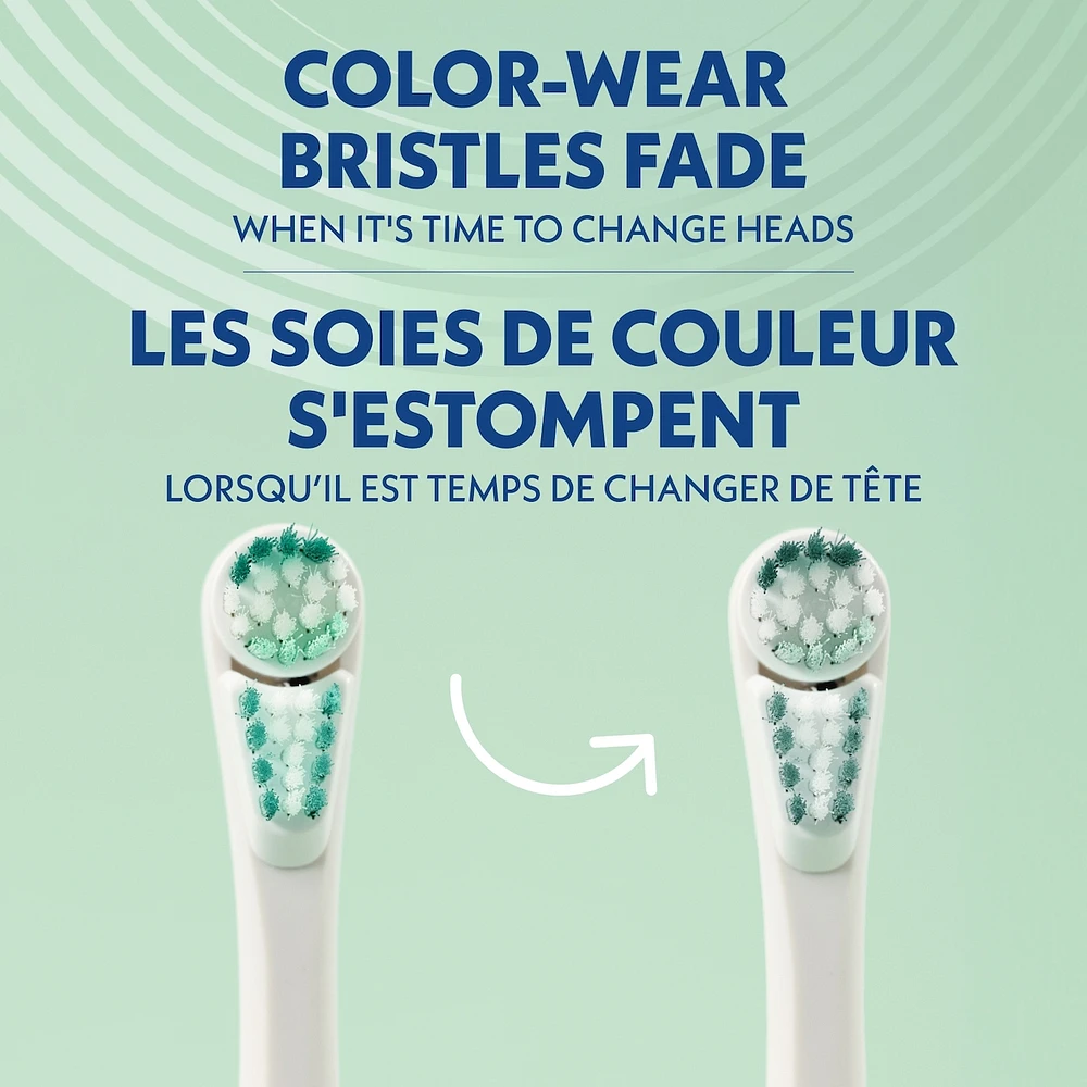 Spinbrush™ PRO WHITEN Battery Toothbrush, Soft