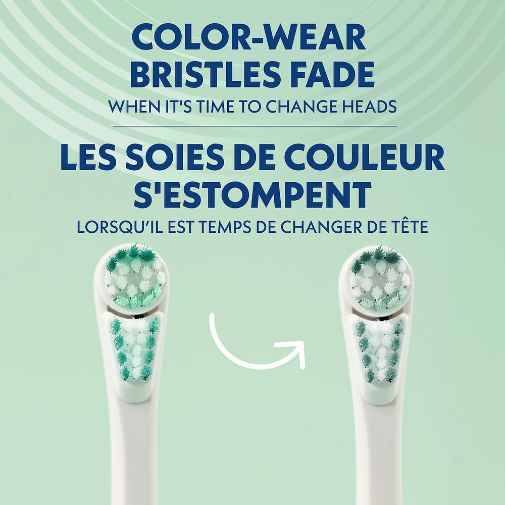 Spinbrush™ PRO WHITEN Replacement Heads, Soft