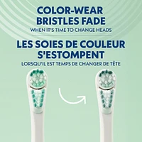 Spinbrush™ PRO WHITEN Replacement Heads, Soft