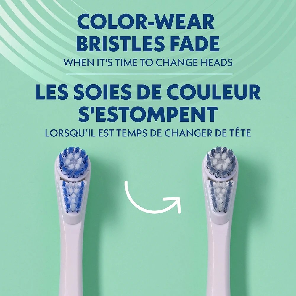 Spinbrush™ PRO CLEAN Battery Toothbrush, Medium