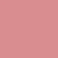 Cheekers Blush