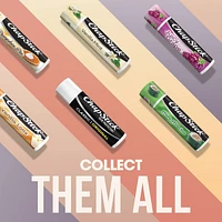 ChapStick Classic Lip Balm, Cherry Flavour, 4g, 2 Tubes