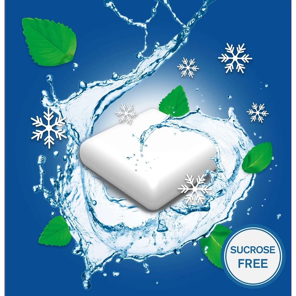 Nicotine Gum, 4 mg, Extreme Chill Mint