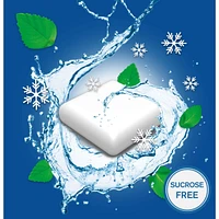 Nicotine Gum, 4 mg, Extreme Chill Mint