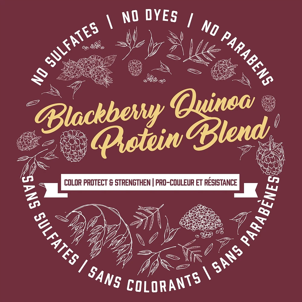 Shampoing Mûres sauvages et protéines de quinoa Pro-couleur et résistance