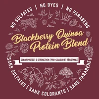 Shampoing Mûres sauvages et protéines de quinoa Pro-couleur et résistance