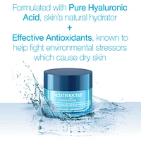 Hydro Boost Night Pressed Hyaluronic Acid Serum