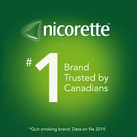 Nicotine Gum, 4 mg, Spearmint