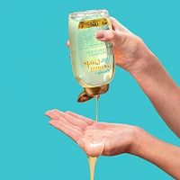 Lightweight + Coconut Fine Curls Shampoo, Lightweight, Shampoo for Curly Hair, Coconut Water Shampoo, Flaxseed Oil, Citrus Oil