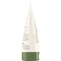 Daily Moisturizing Face Cream