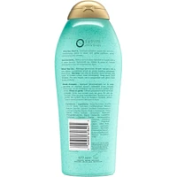 Hydration + Sea Kelp & Hyaluronic Acid Scrub & Wash