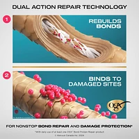 Repair & Protect Bond Protein Repair Pre-Shampoo