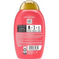 Repair & Protect Bond Protein Repair Conditioner