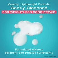 Repair & Protect Bond Protein Repair Shampoo