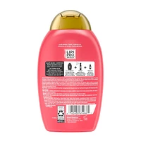 Shampooing Soin protéiné réparateur Répare et protège
