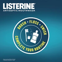 Zero Antiseptic Mouthwash, Mild Mint, Alcohol Free