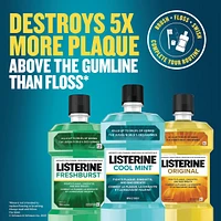 Fresh Burst Antiseptic Mouthwash