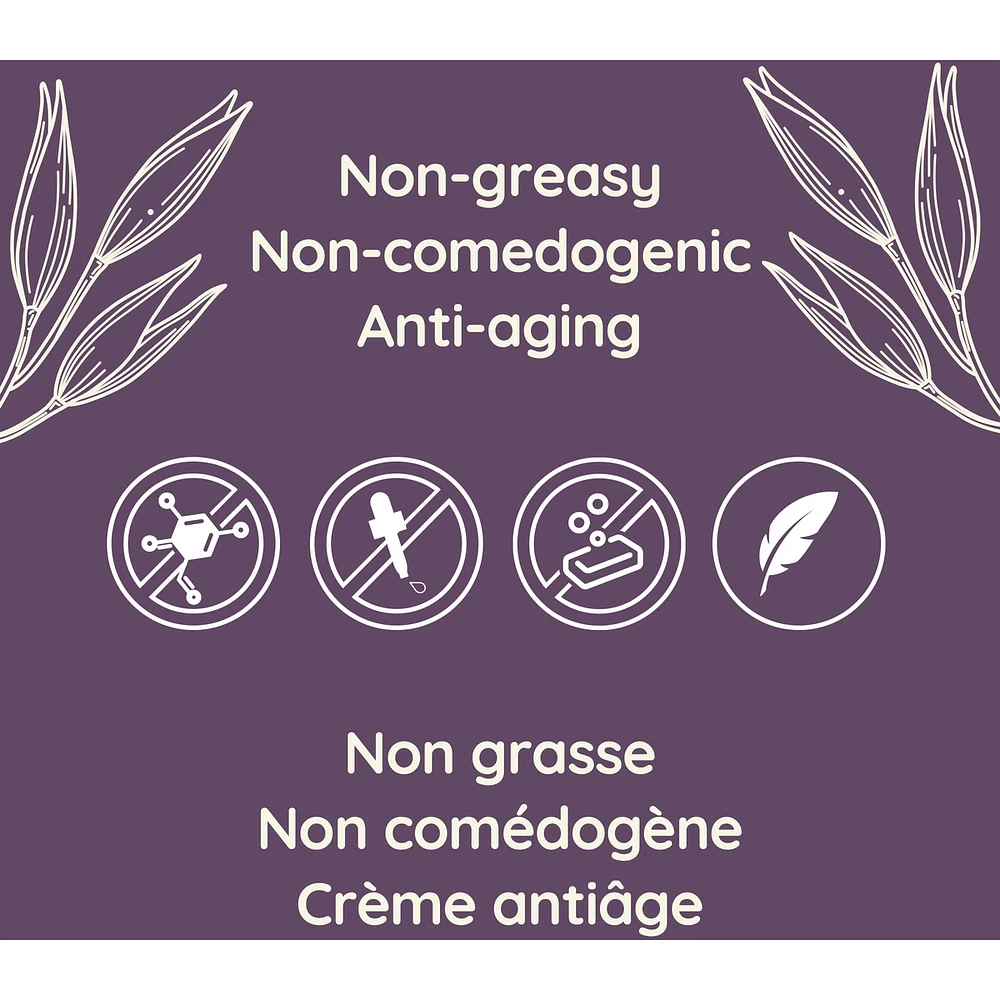 Absolutely Ageless™ Restorative Night Cream