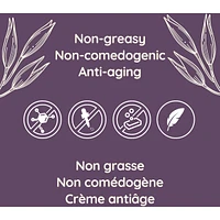 Absolutely Ageless™ Restorative Night Cream