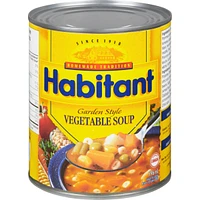 Garden Style Vegetable Soup