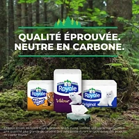 Rolls Of Bathroom Tissue Ply