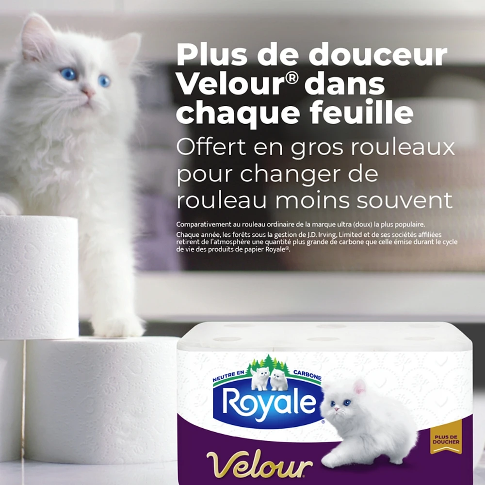 Rolls Of Bathroom Tissue Ply