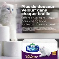 Rolls Of Bathroom Tissue Ply