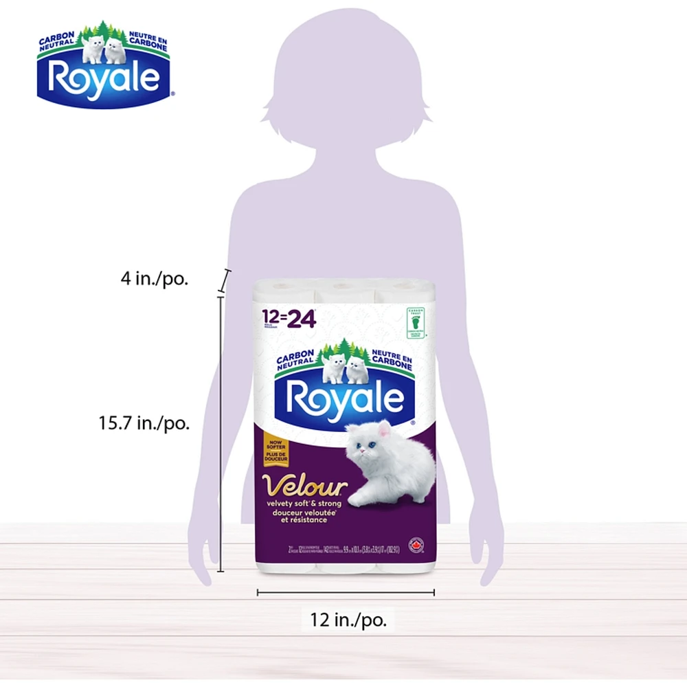 Rolls Of Bathroom Tissue Ply