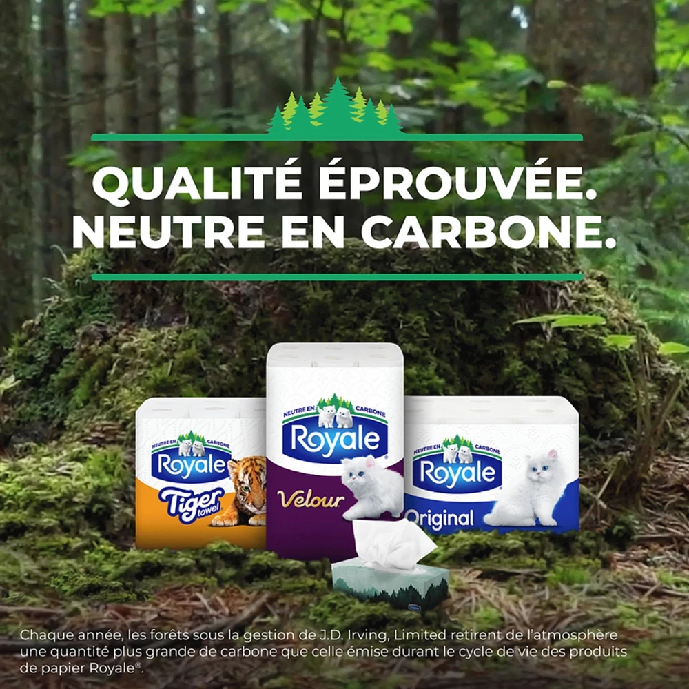 Rolls Of Bathroom Tissue Original Soft 2 Ply