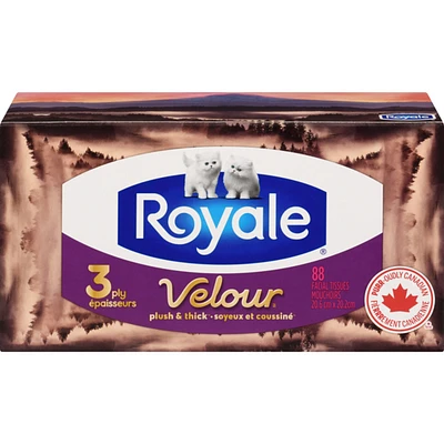 Facial Tissues 3 Ply