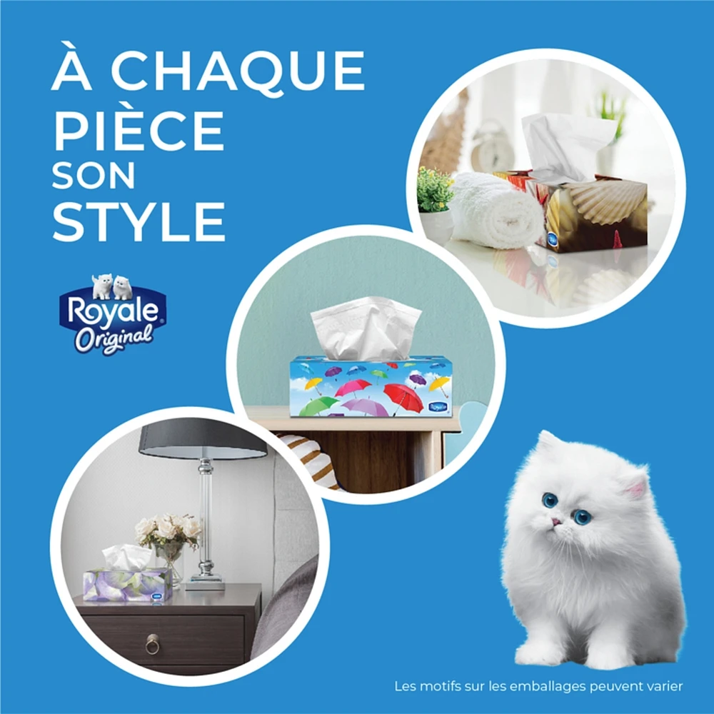 Facial Tissues 2 Ply