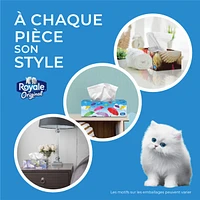 Facial Tissues 2 Ply