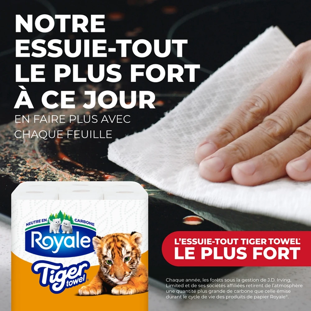Rouleaux d'essuie-tout 2 épaisseurs