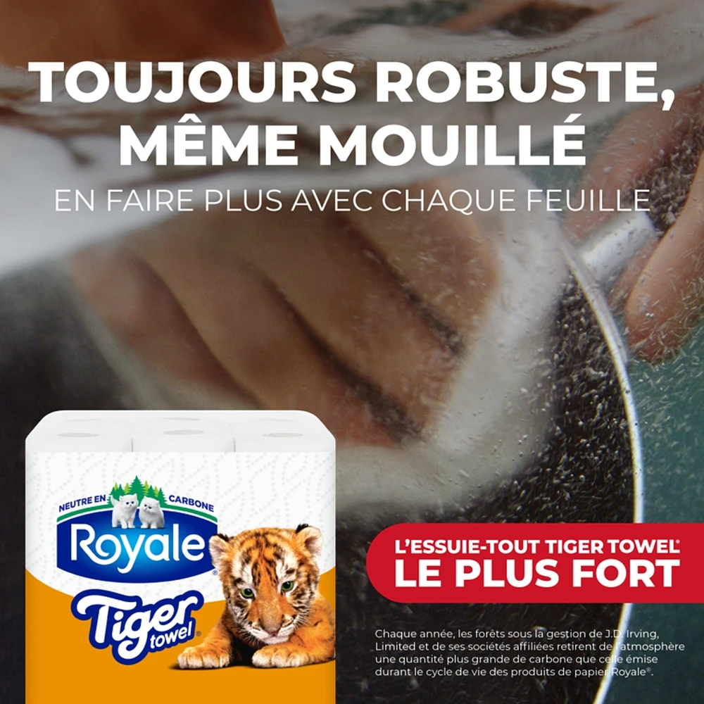 Rouleaux d'essuie-tout 2 épaisseurs