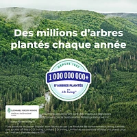 Rouleaux d'essuie-tout 2 épaisseurs