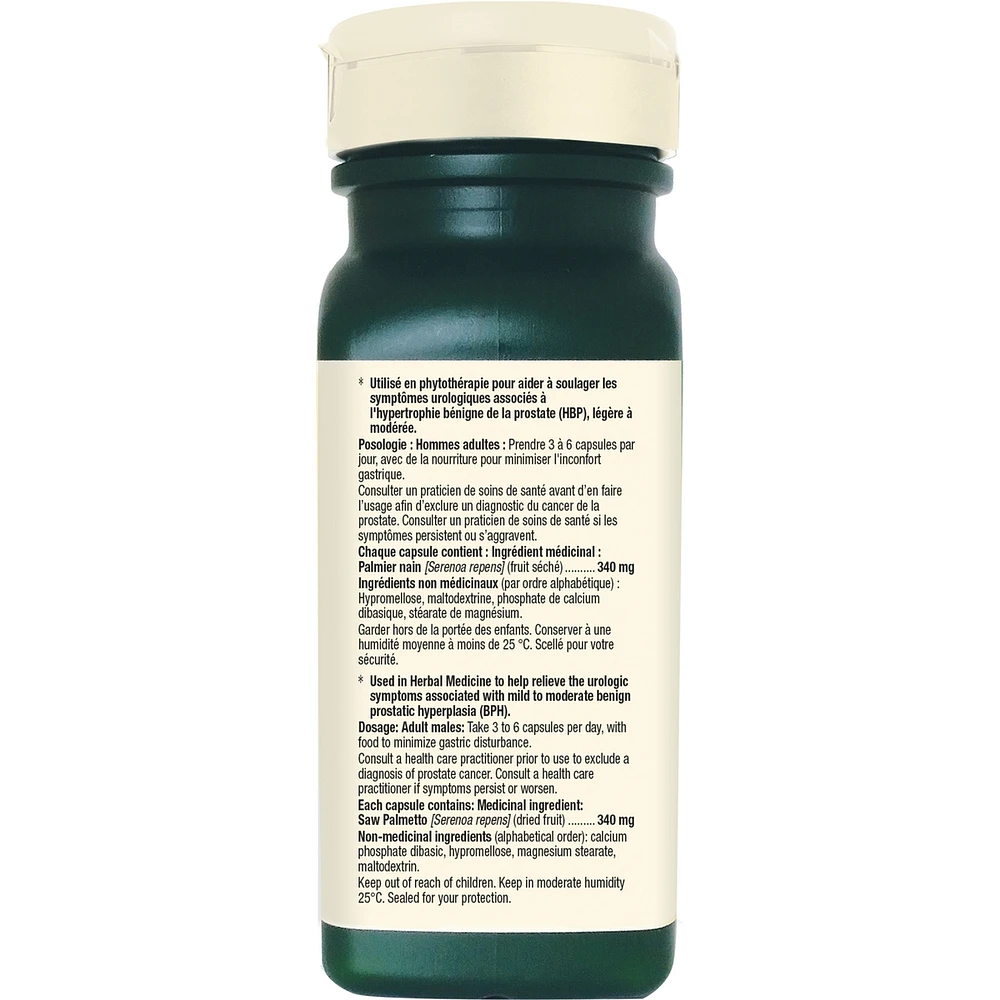 Saw Palmetto