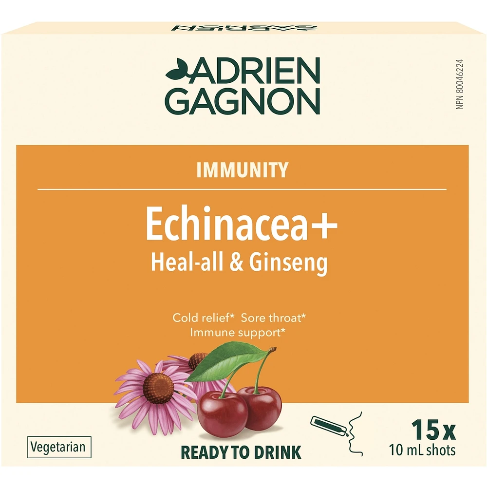 Echinacea Adults
