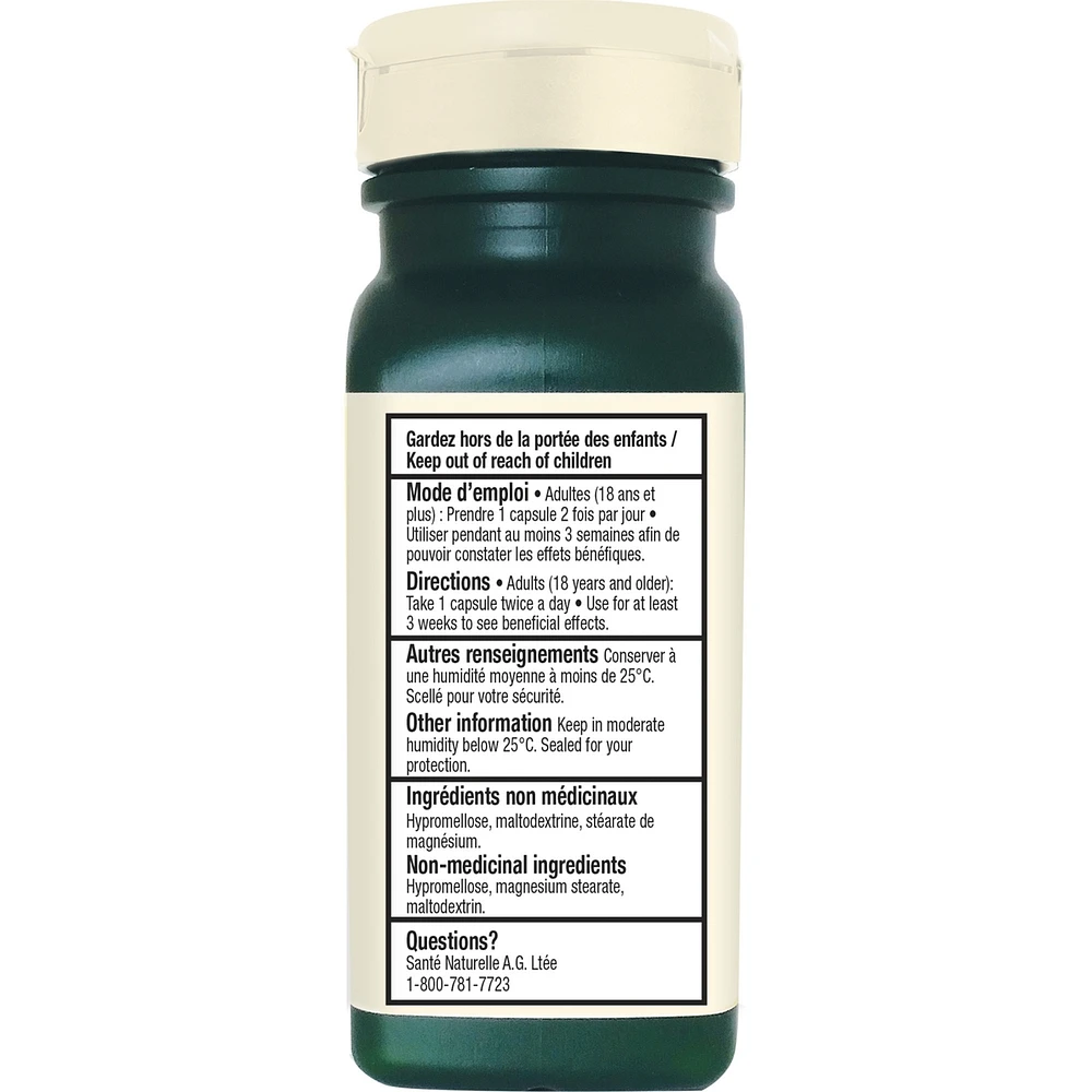 Milk Thistle
