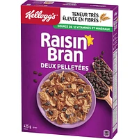 Two Scoops Raisin Bran Cereal