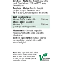 Vitamin B6 mg (Pyridoxine