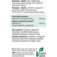 Vitamin B6 100 mg (Pyridoxine)