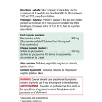 Glucosamine Regular Strength 500 mg