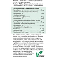 Chewable B Complex Berry Bliss Tablets