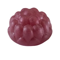 Jamieson Women's Health Probiotic Gummies Cranberry Flavour, 60 Count